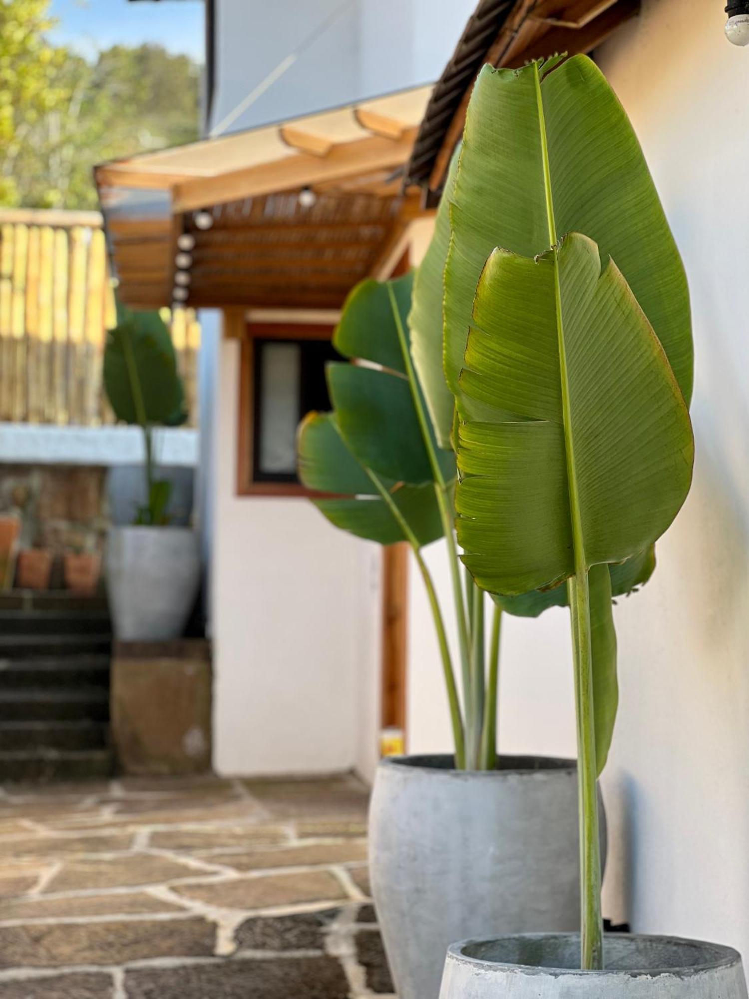 Hotel Campestre Palmas Del Zamorano San Gil Eksteriør billede